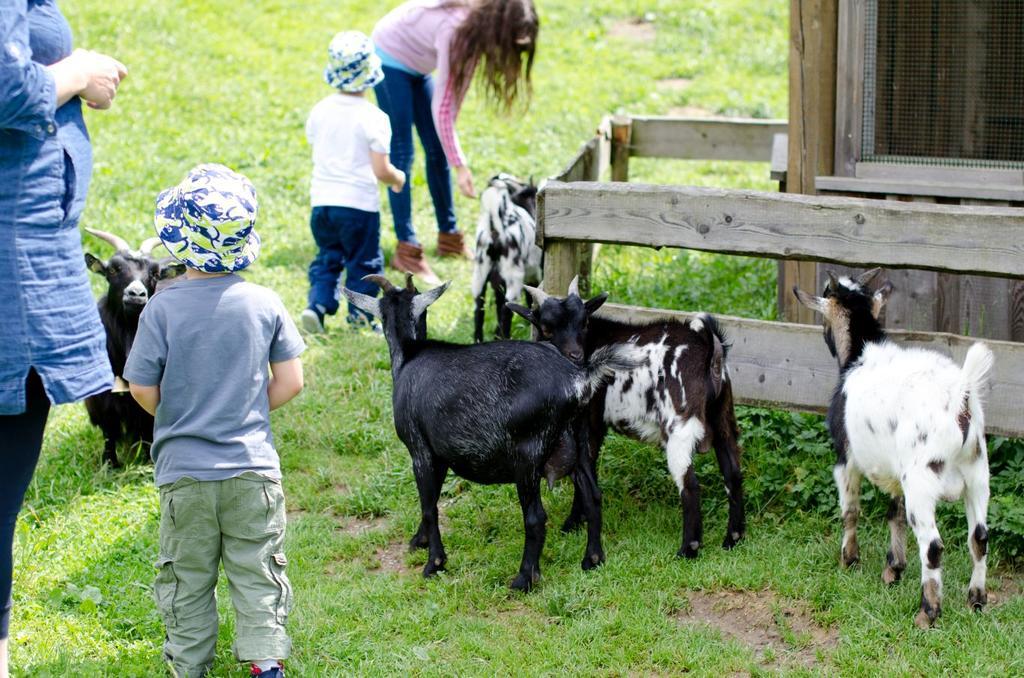 Kinderhotel Appelhof Murzsteg Bagian luar foto