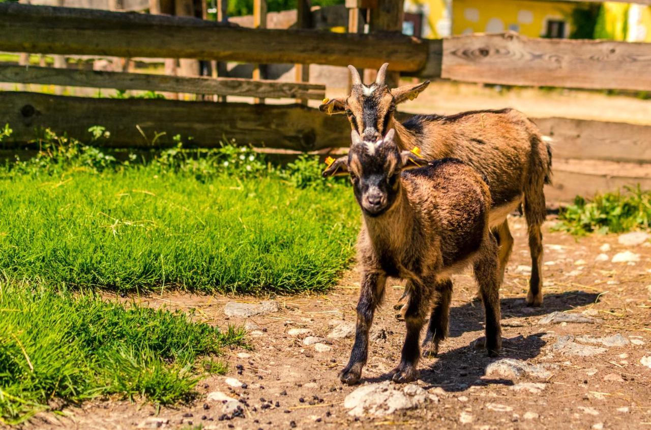 Kinderhotel Appelhof Murzsteg Bagian luar foto