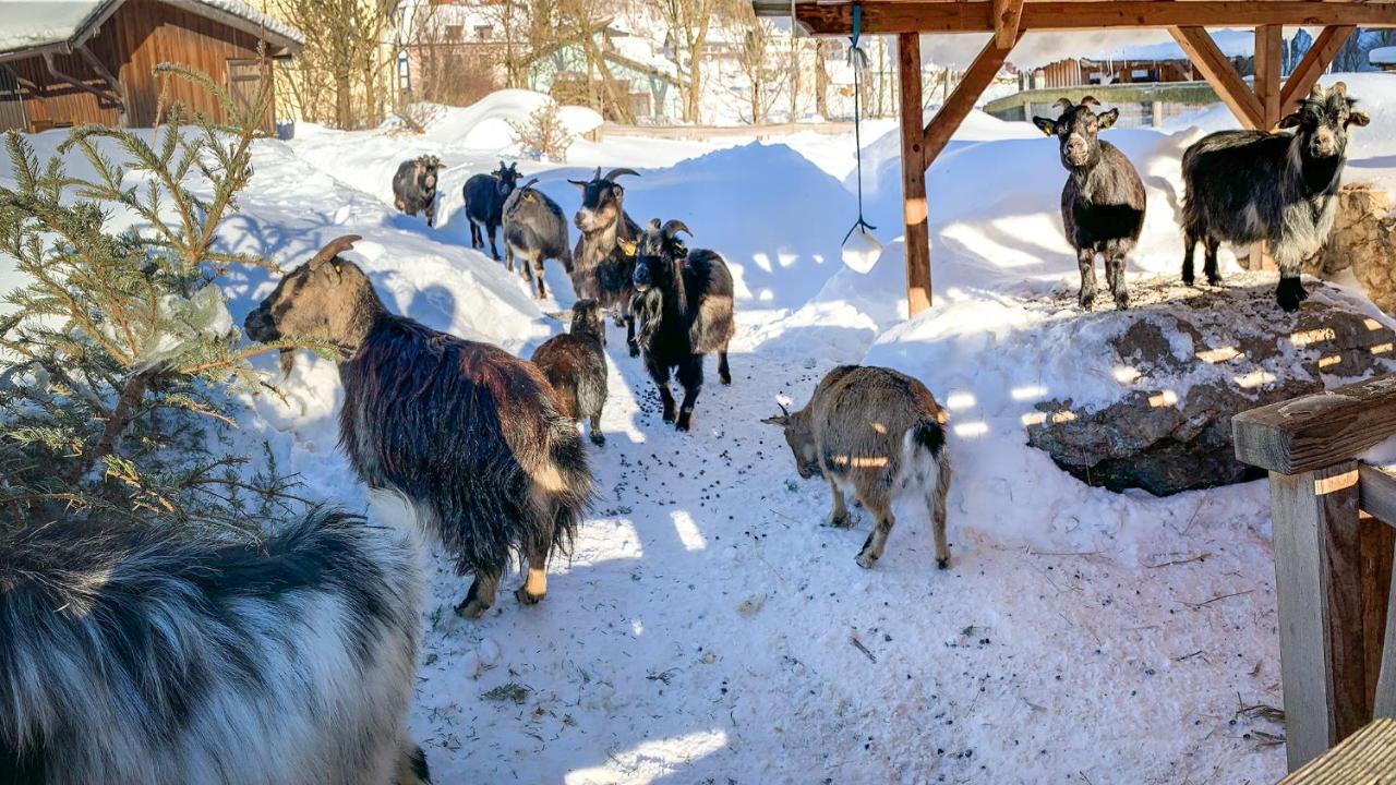 Kinderhotel Appelhof Murzsteg Bagian luar foto