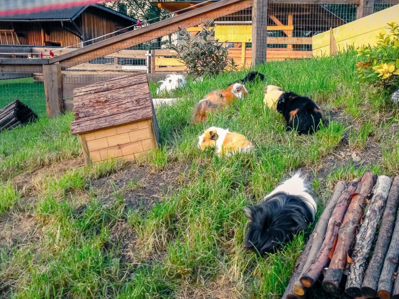 Kinderhotel Appelhof Murzsteg Bagian luar foto