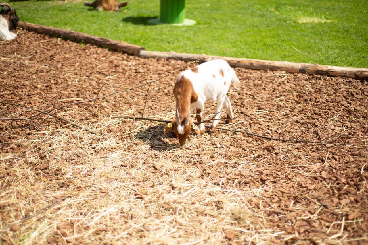 Kinderhotel Appelhof Murzsteg Bagian luar foto